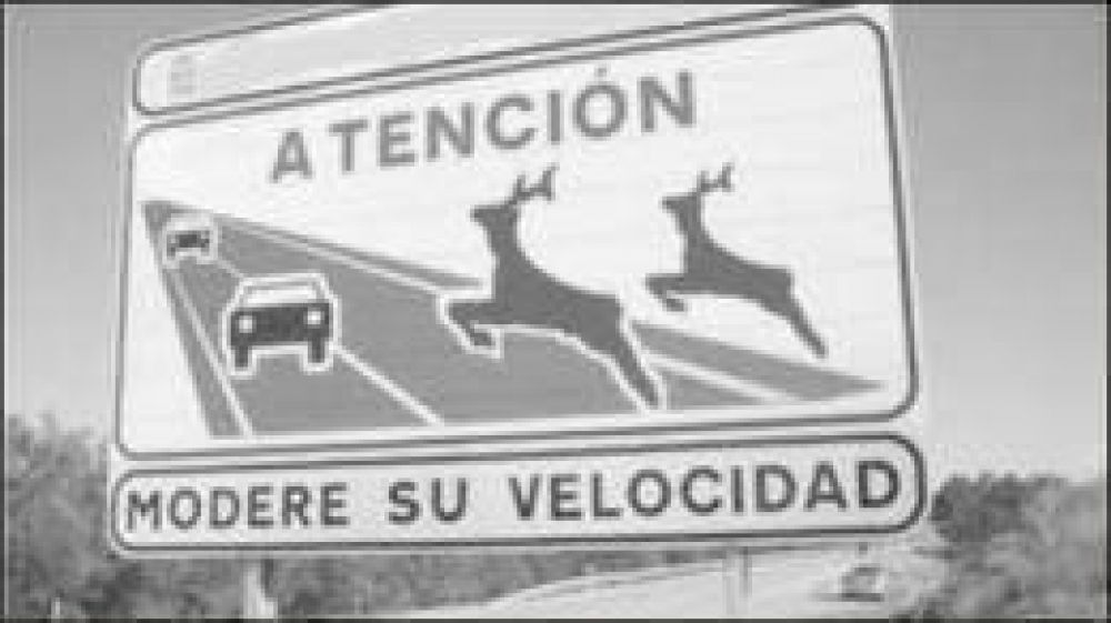 Vialidad Nacional se�alizar� Puerto Iguaz�
