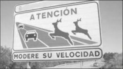 Vialidad Nacional se�alizar� Puerto Iguaz�
