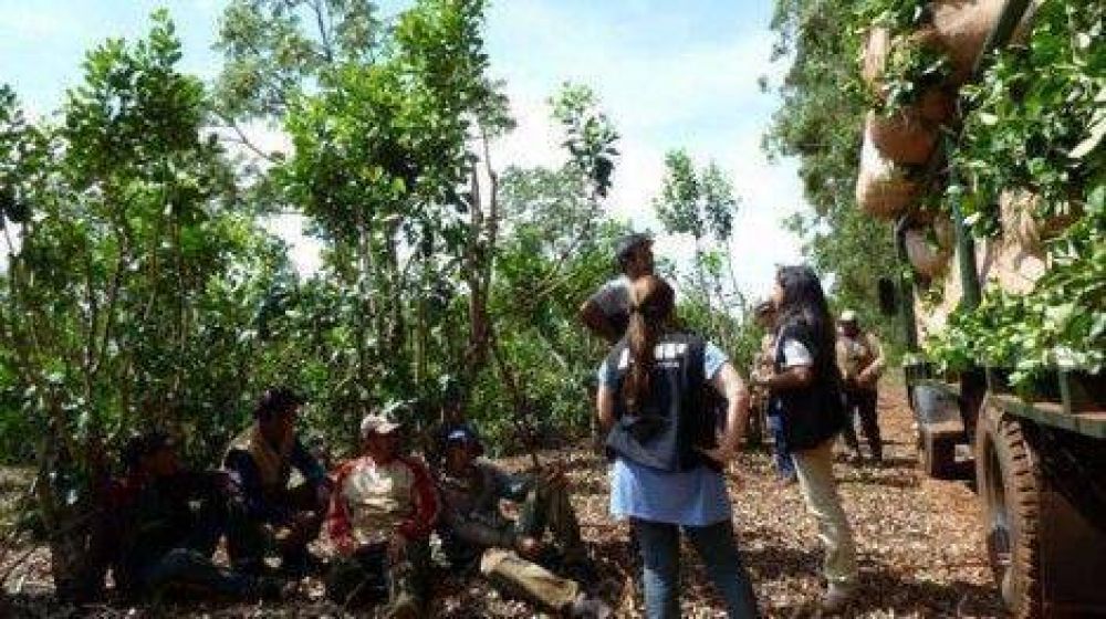 Brindan contenci�n a misioneros que eran explotados en plantaci�n de ar�ndanos en Buenos Aires
