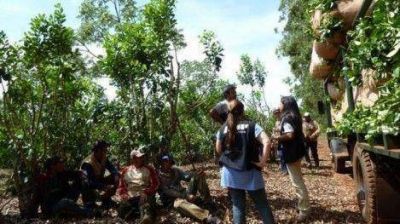 Brindan contenci�n a misioneros que eran explotados en plantaci�n de ar�ndanos en Buenos Aires