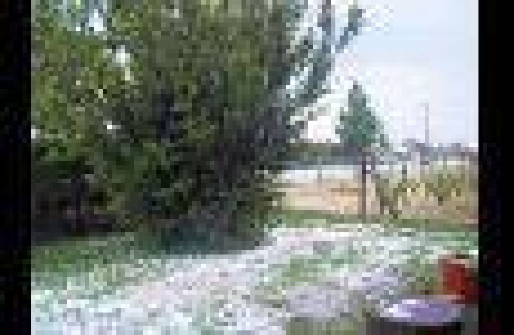 Intensa granizada en el Valle de Uco afect� cultivos y provoc� accidentes