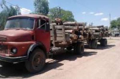 Secuestraron m�s de 30 toneladas de quebracho colorado