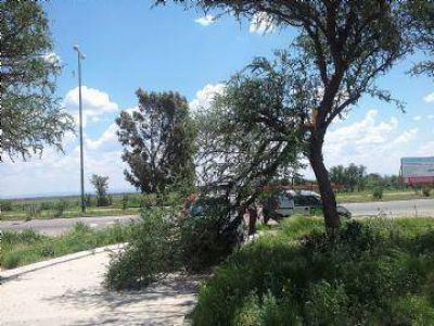Un cami�n dej� sin Internet por 20 minutos a gran parte de la provincia