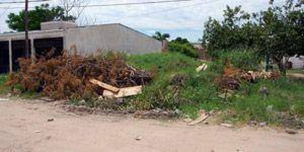 La Municipalidad pide a propietarios mantener limpios sus bald�os
