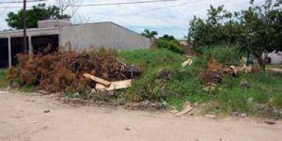 La Municipalidad pide a propietarios mantener limpios sus bald�os