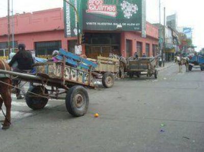 El 15 de diciembre tendr� que prohibirse definitivamente la tracci�n a sangre