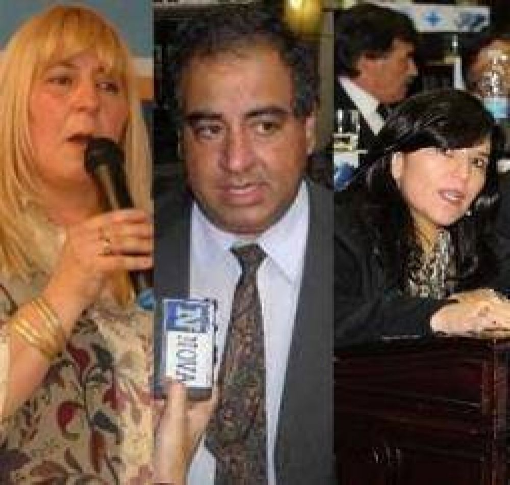 Promoci�n Industrial. El PJ y la UCR exigen reglamentar el decreto 699