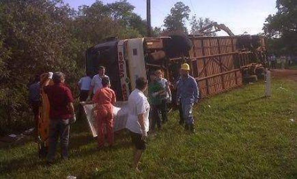 Cuatro muertos y m�s de quince heridos al despitar un colectivo sobre ruta 201