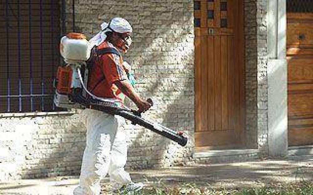 La regi�n comienza a tomar recaudos para prevenir el dengue
