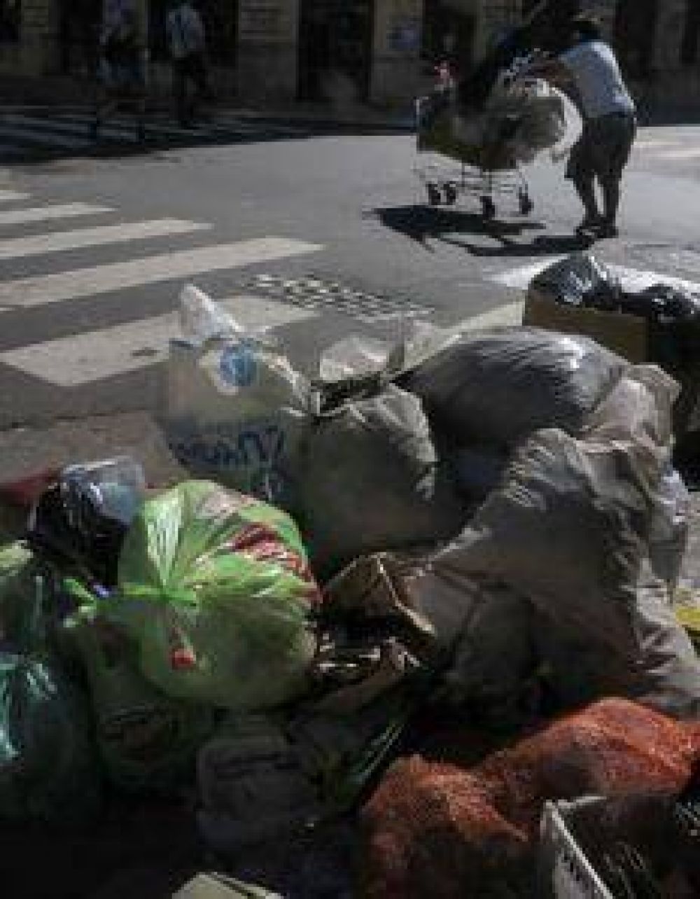 "El problema de la basura no se arregla con bolsitas"
