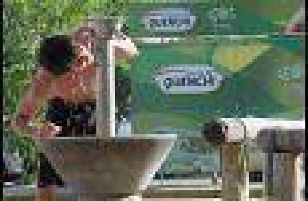 Los mendocinos consumen el doble de agua de lo que recomienda la OMS