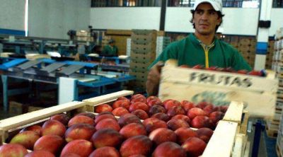 Las latas de durazno siguen varadas en la frontera de Brasil 