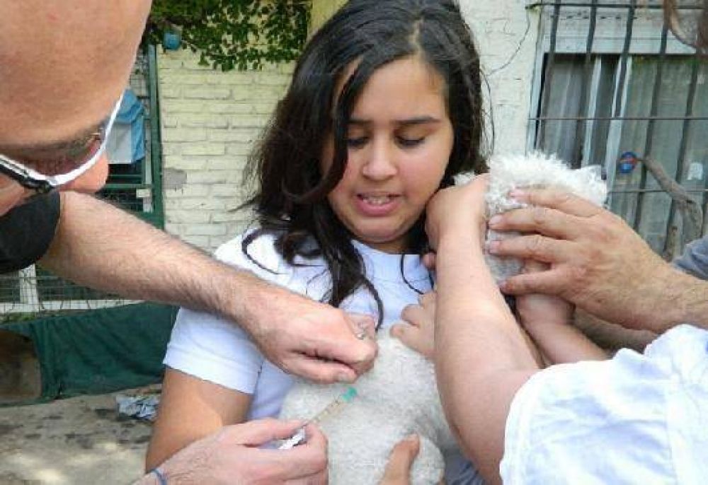 M�s de 6 mil perros y gatos fueron vacunados contra la rabia