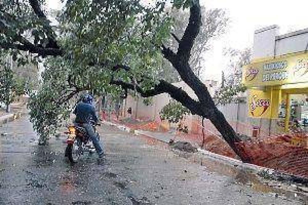 Tras el sofocante calor, una brutal tormenta caus� graves destrozos