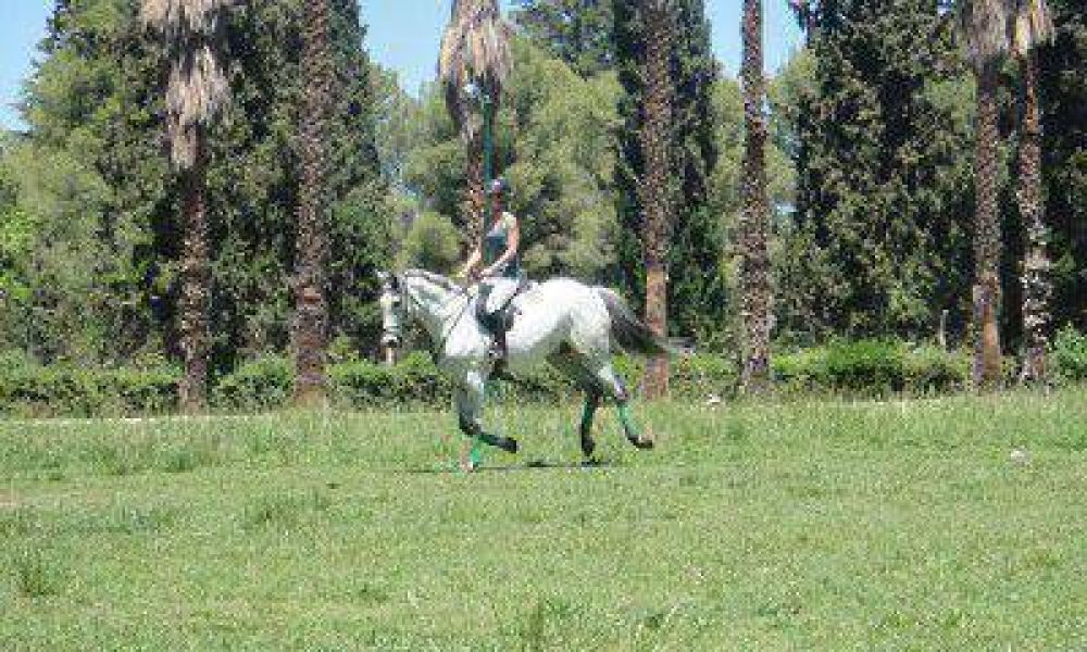 Sorpresa y preocupaci�n por una mujer que sali� a cabalgar por el Parque