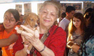  Habr� jornada de adopciones en la costanera de Posadas