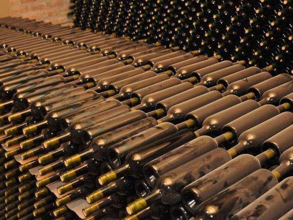El sector vitivin�cola local tiene expectativas moderadas para la pr�xima vendimia