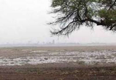 Buenas lluvias en el centro y sudoeste provincial 