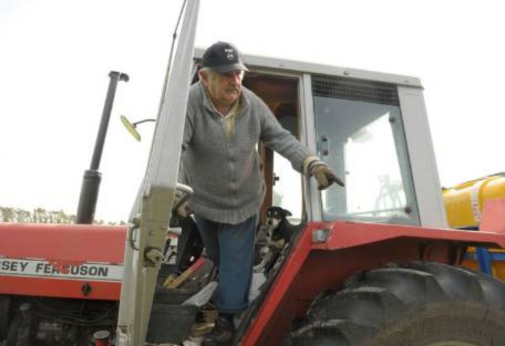 Marihuana buena y barata: el plan de Mujica para derrotar a los narcos