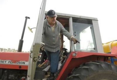 Marihuana buena y barata: el plan de Mujica para derrotar a los narcos