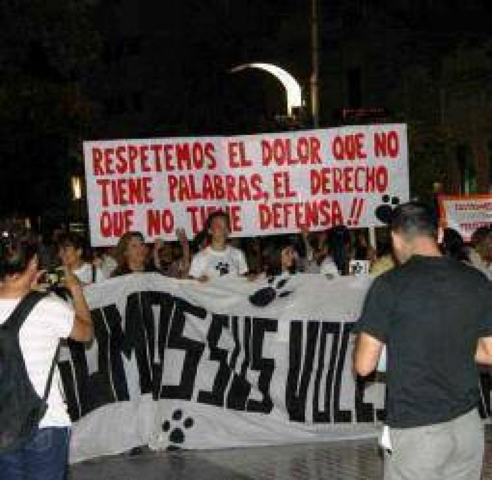 Una marcha pro animales moviliz� a cientos y cientos de riojanos