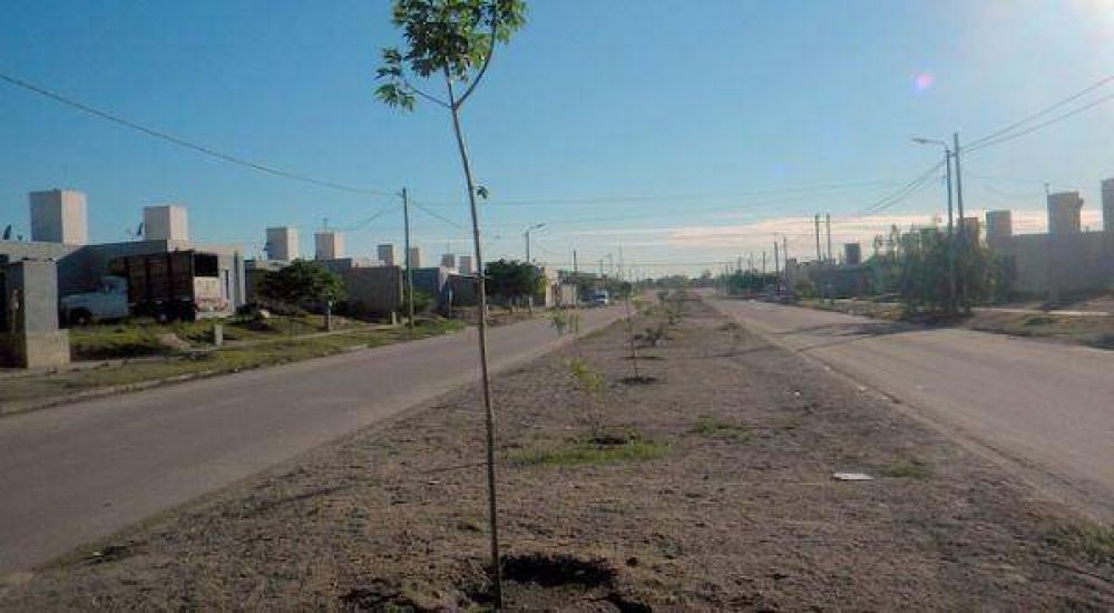 Argentina Trabaja realiza tareas de limpieza en barrios riojanos 