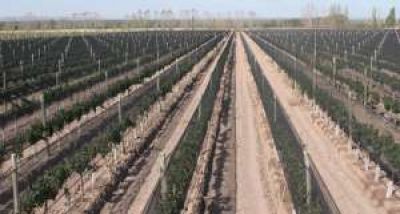 Cr�dito de tela antigranizo: malestar por el desinter�s 