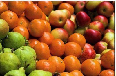 Contin�a sin actividad el mercado de frutas y verduras