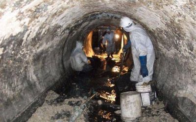 Socios del N�utico alarmados por la contaminaci�n del mar