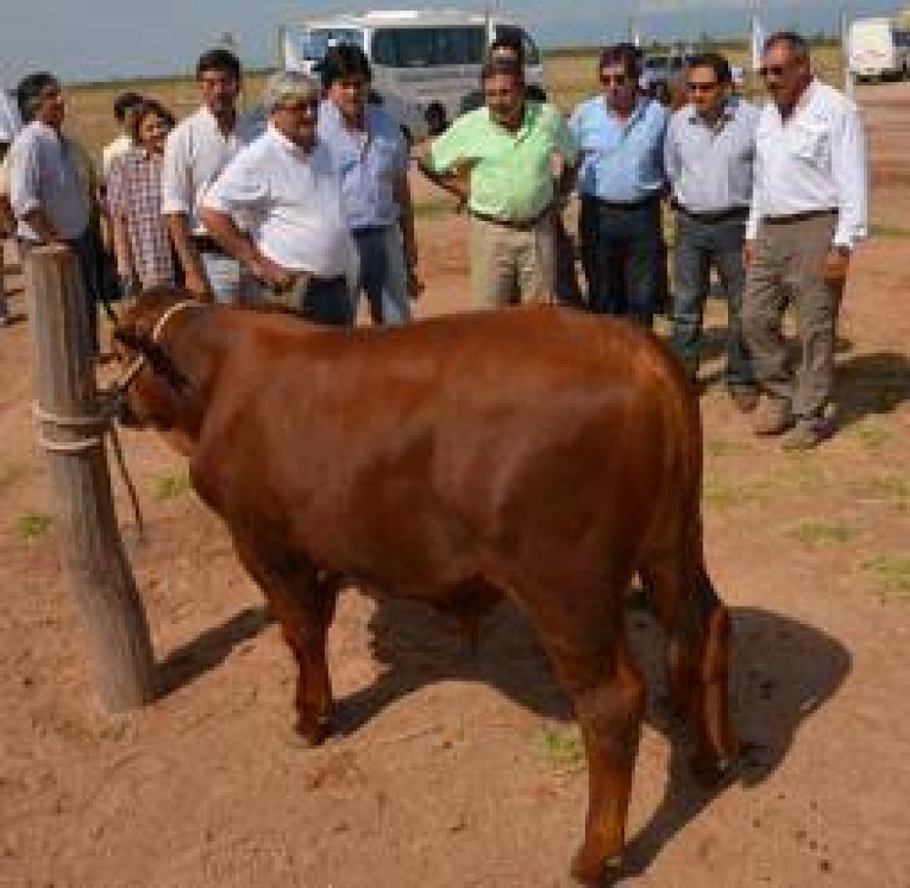 Beder prometi� convertir a La Rioja en un polo ganadero nacional 