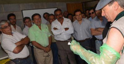 �Pondr� toda la fuerza e inversi�n necesaria para que sea una empresa rentable� 