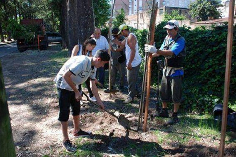 Fueron plantados �rboles en Beccar para diversificar la vegetaci�n