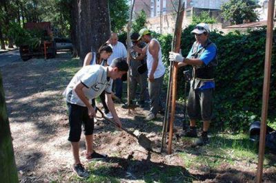 Fueron plantados �rboles en Beccar para diversificar la vegetaci�n