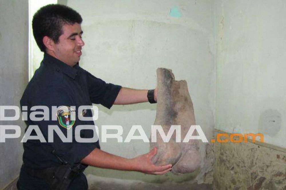 R�o Hondo: hallan restos f�siles en una cantera 