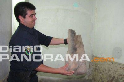 R�o Hondo: hallan restos f�siles en una cantera 