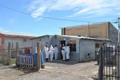 Inician operativo preventivo en Margen Sur por la presencia de la brucelosis canina