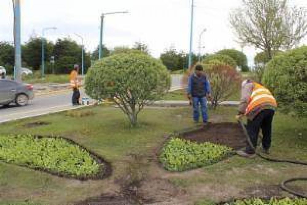 Tareas de reparaci�n y embellecimiento en calles y plazoletas