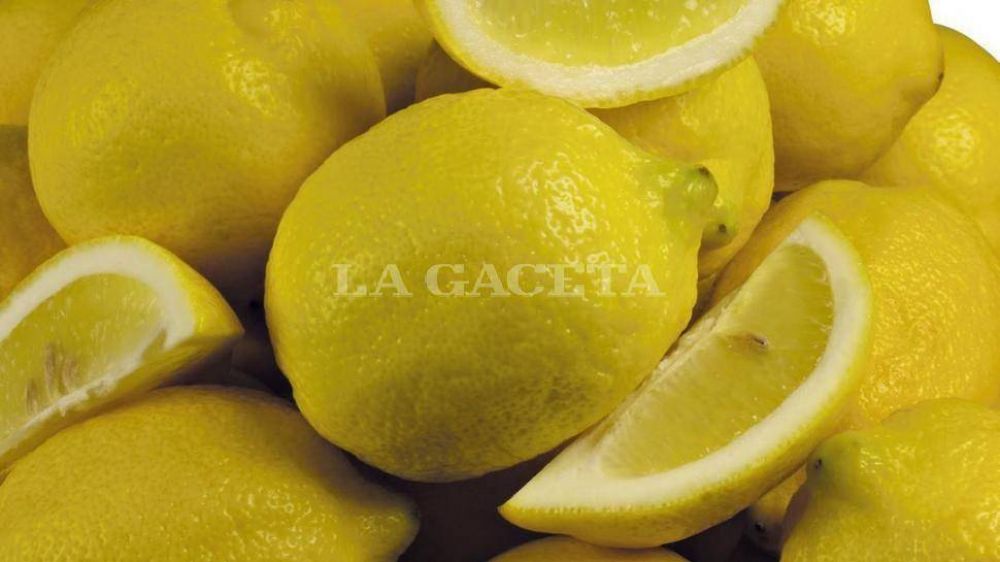 Aument� el precio del lim�n en el Mercofrut 