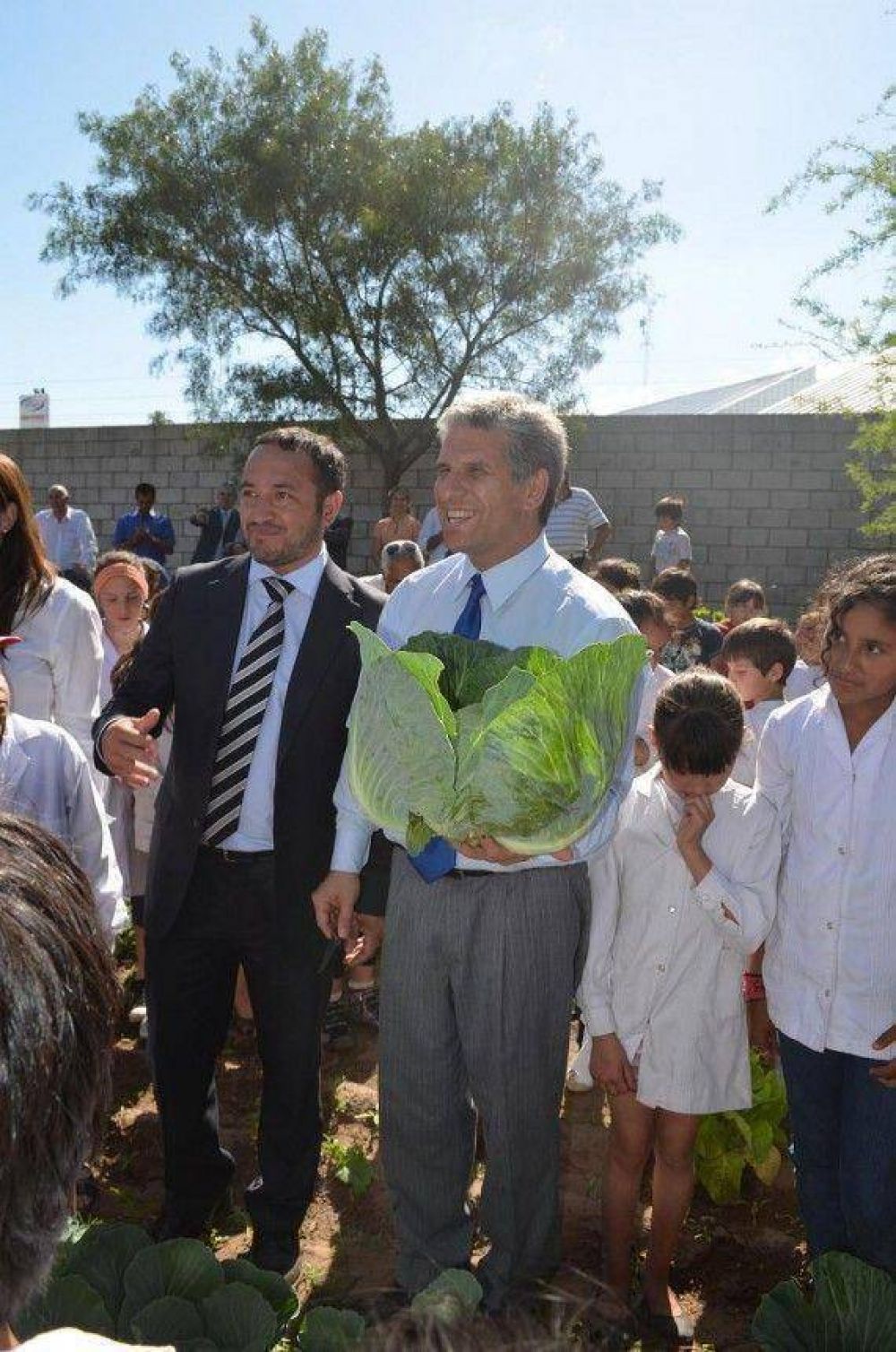 Villa Mercedes: primera cosecha en el marco del programa Cultivando Nuestra Tierra
