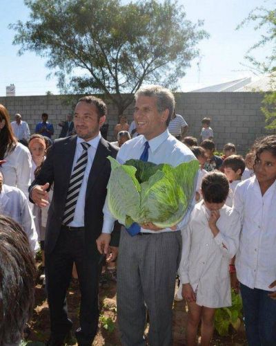 Villa Mercedes: primera cosecha en el marco del programa Cultivando Nuestra Tierra