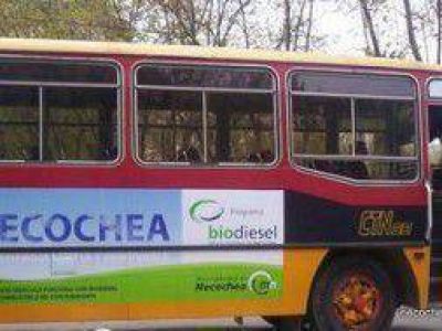 Aprobaron aumentos para colectivos y taxis en Necochea