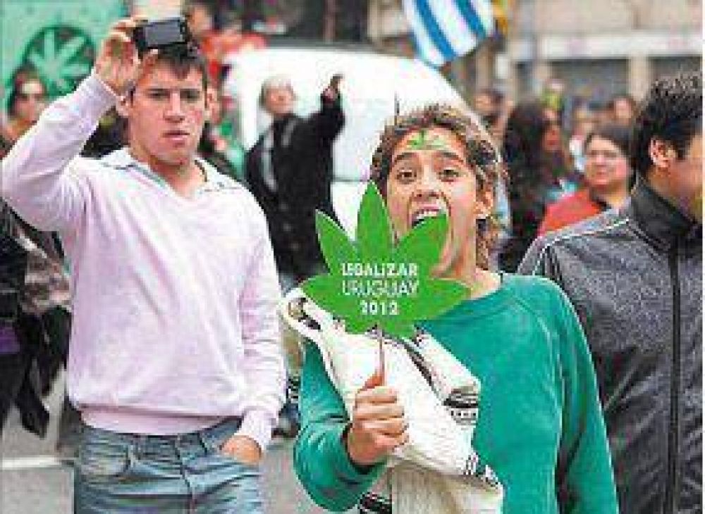 La legalizaci�n de la marihuana toma forma