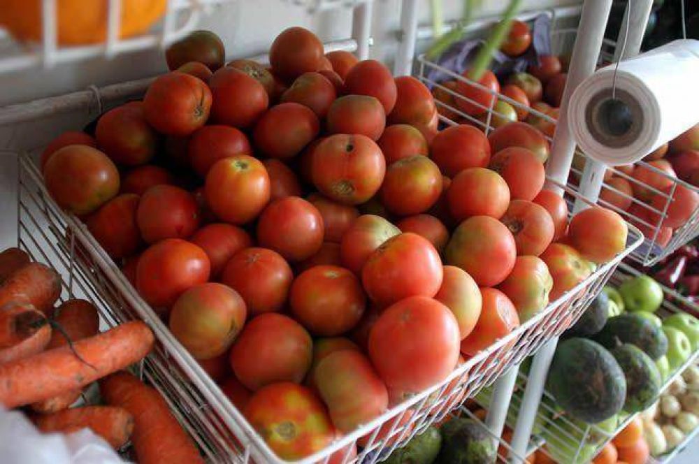 El tomate por las nubes:se paga hasta $25 el kilo 