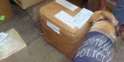  ETOF: Secuestran 15 kilos de marihuana en una encomienda