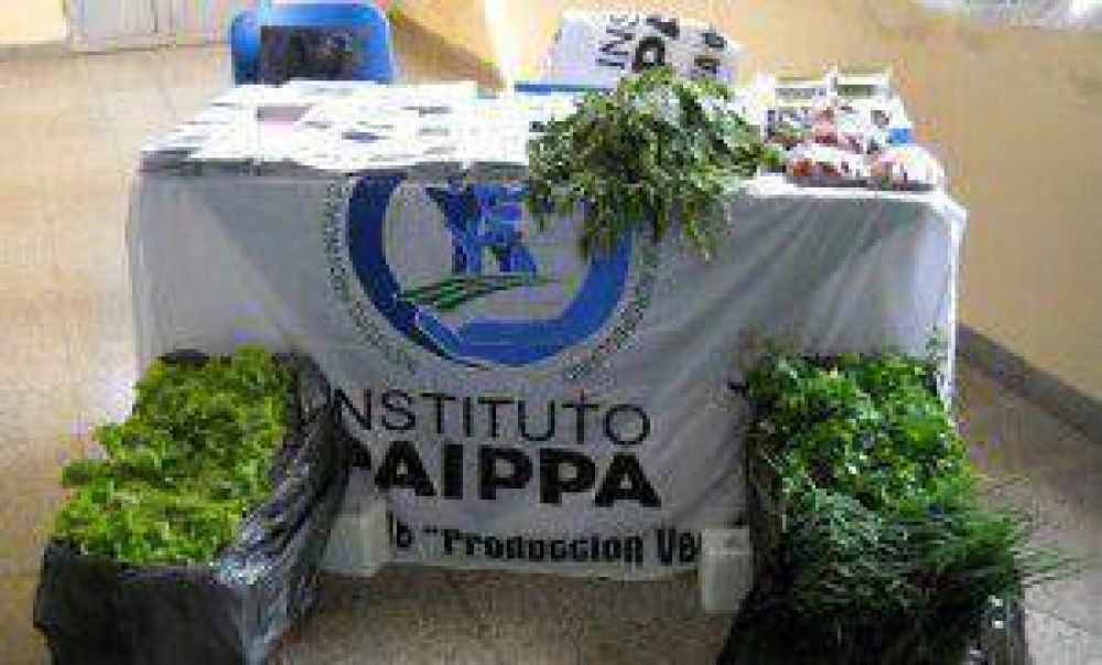 Capacitaci�n del PAIPPA sobre procesos de comercializaci�n de la producci�n