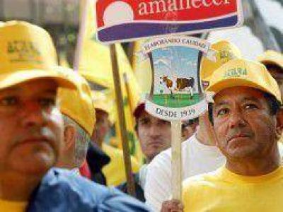 Mar del Plata: Trabajadores forman cooperativa para salvar empresa l�ctea