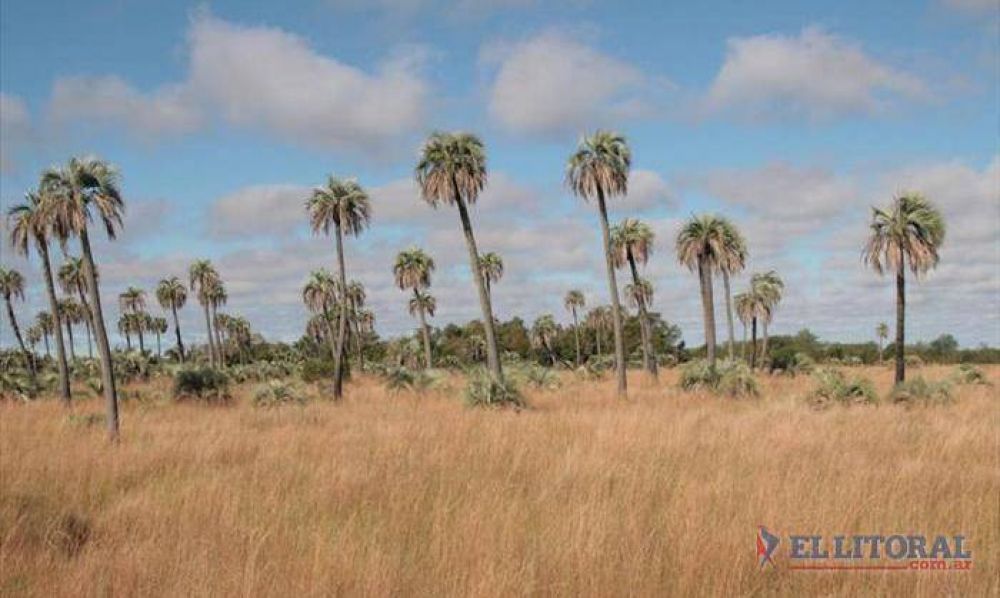 Parque Nacional Mburucuy�, una joya natural correntina para el mundo