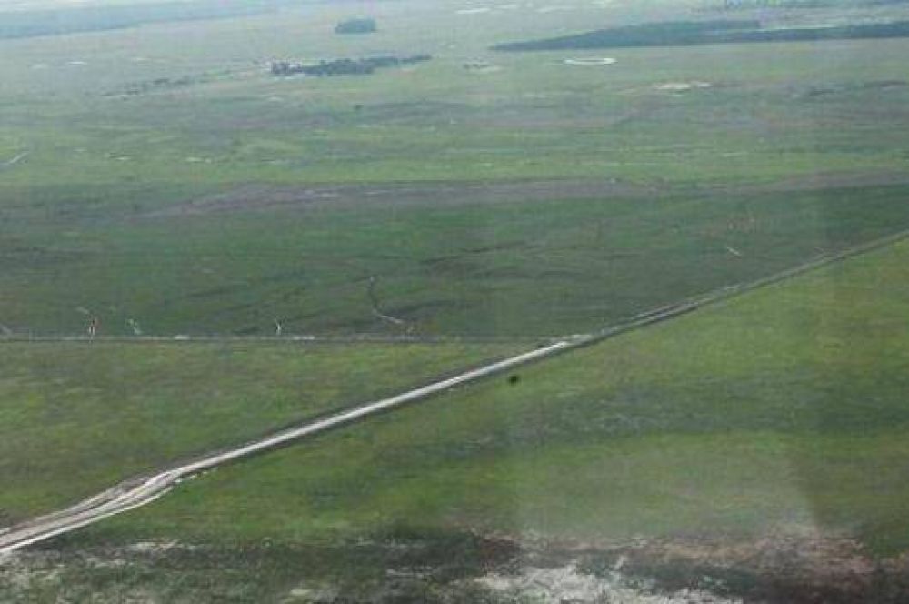 Ambientalistas exigen la clausura de una arrocera