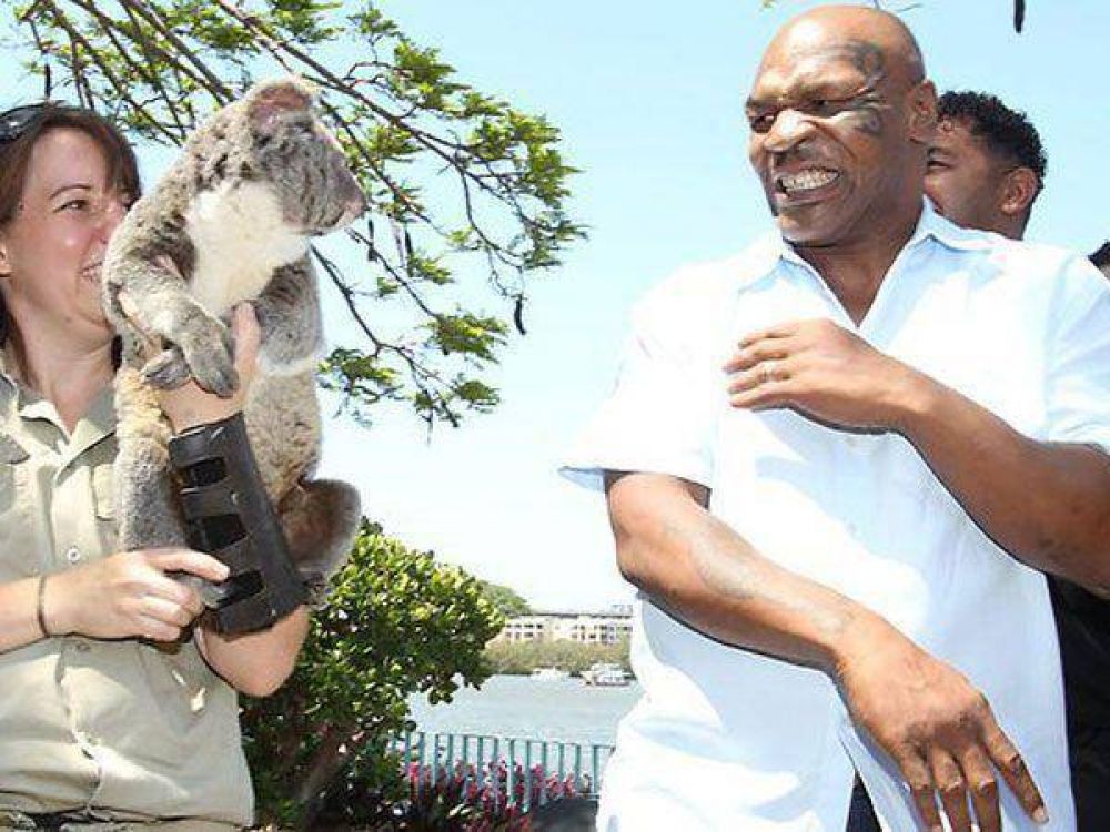 Mike Tyson se asust� con un koala