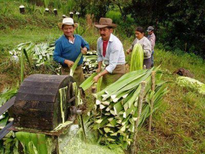 Colombia regular� la inversi�n extranjera en tierras